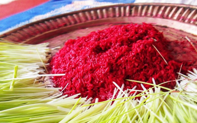 The Tradition of Receiving Dashain Tika and Blessings from Elders Continues Today